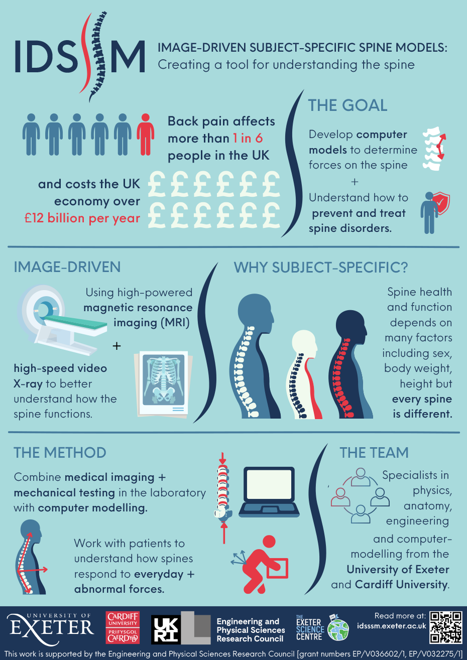 Image driven subject specific spine models